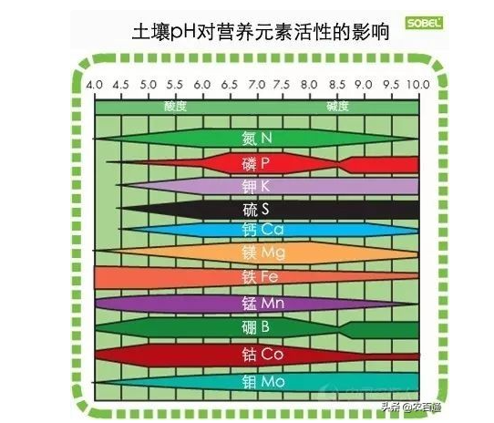 土壤pH對營養元素活性的影響
