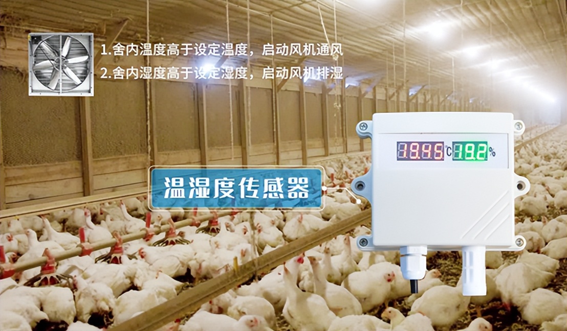溫濕度傳感器在農業養殖業方向 溫濕度傳感器在農業養殖業方向