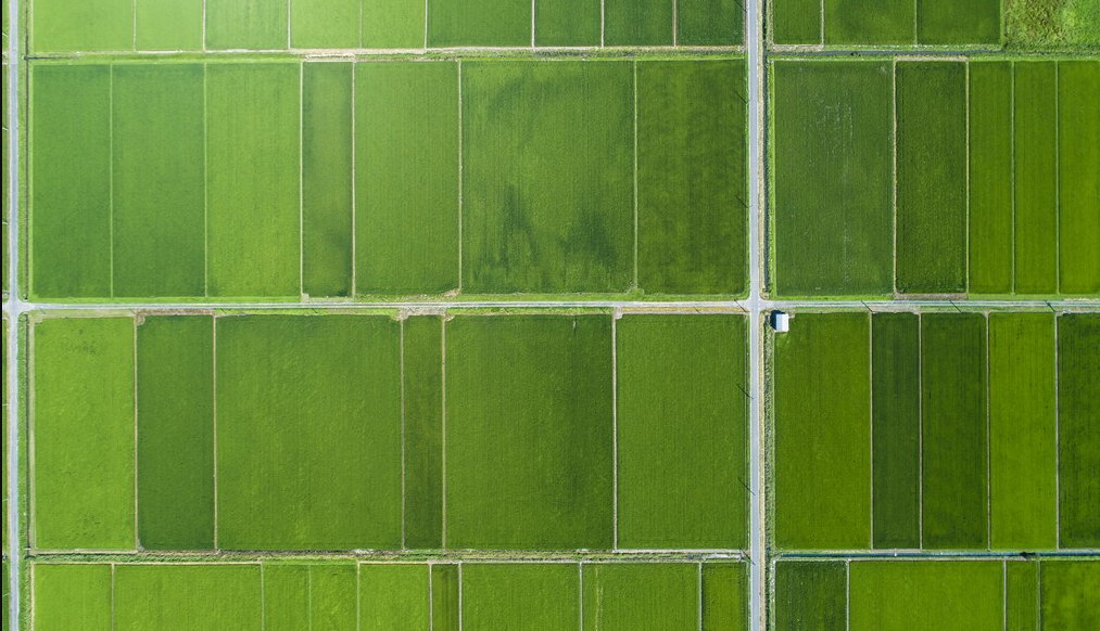 高標(biāo)準(zhǔn)農(nóng)田(數(shù)字化、標(biāo)準(zhǔn)化)