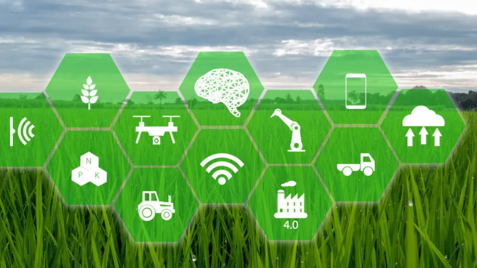 農(nóng)業(yè)物聯(lián)網(wǎng) 農(nóng)業(yè)物聯(lián)網(wǎng)