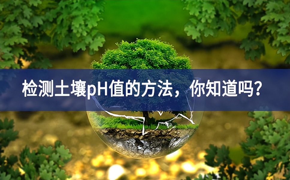 檢測(cè)土壤pH值的方法，你知道嗎？
