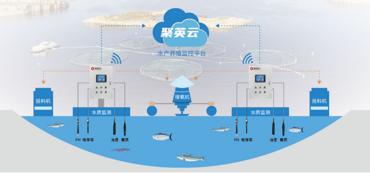 聚英云水產養殖