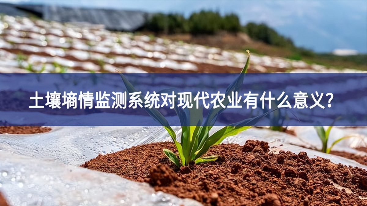 土壤墑情監測系統對現代農業有什么意義？