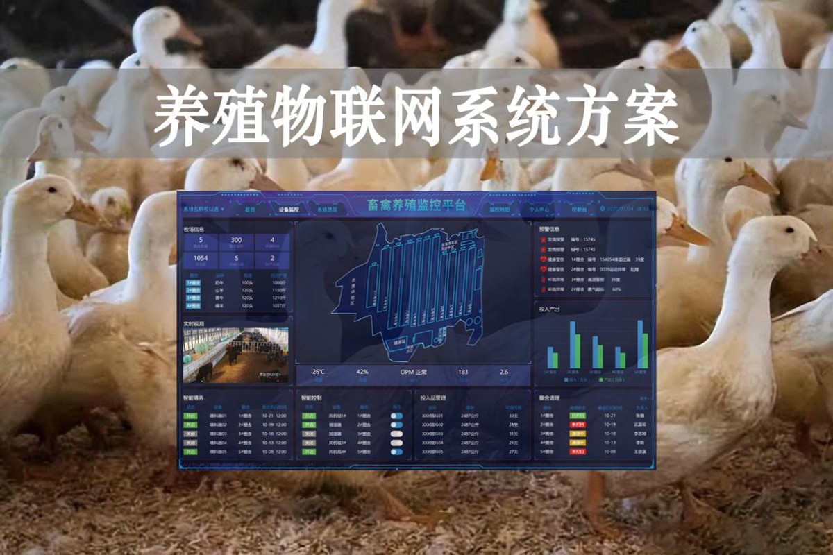 【智慧養殖】數字經濟時代到來，養殖物聯網系統方案來了