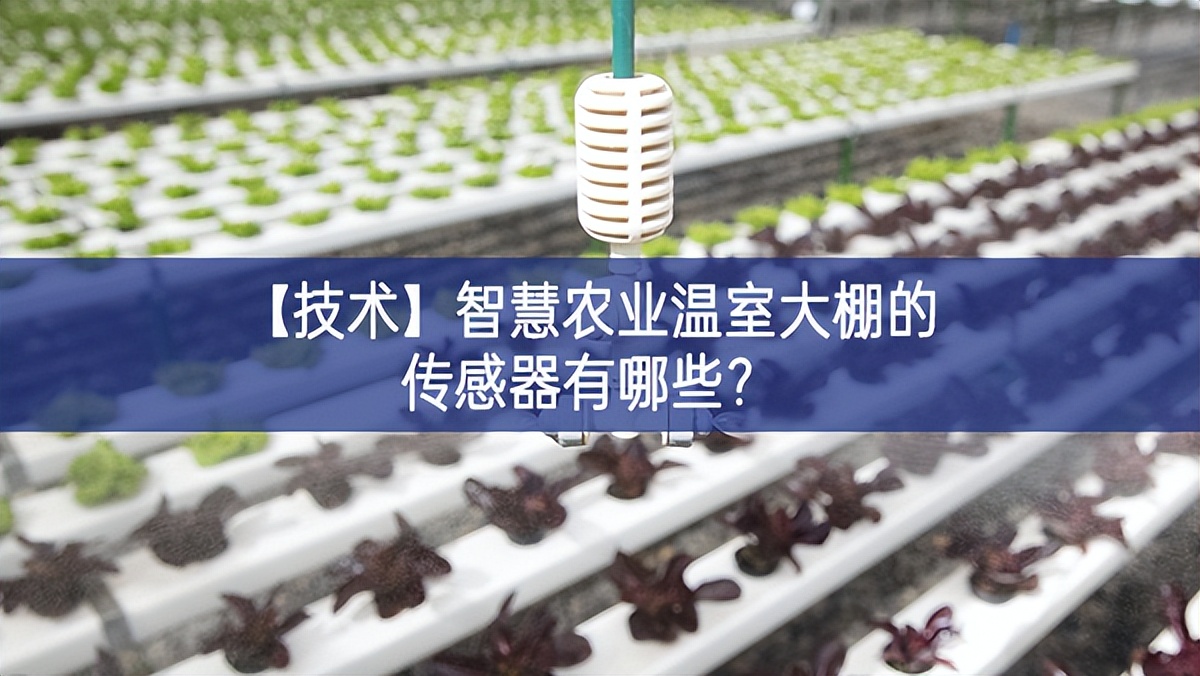 【技術】智慧農業溫室大棚的傳感器有哪些? 【技術】智慧農業溫室大棚的傳感器有哪些?