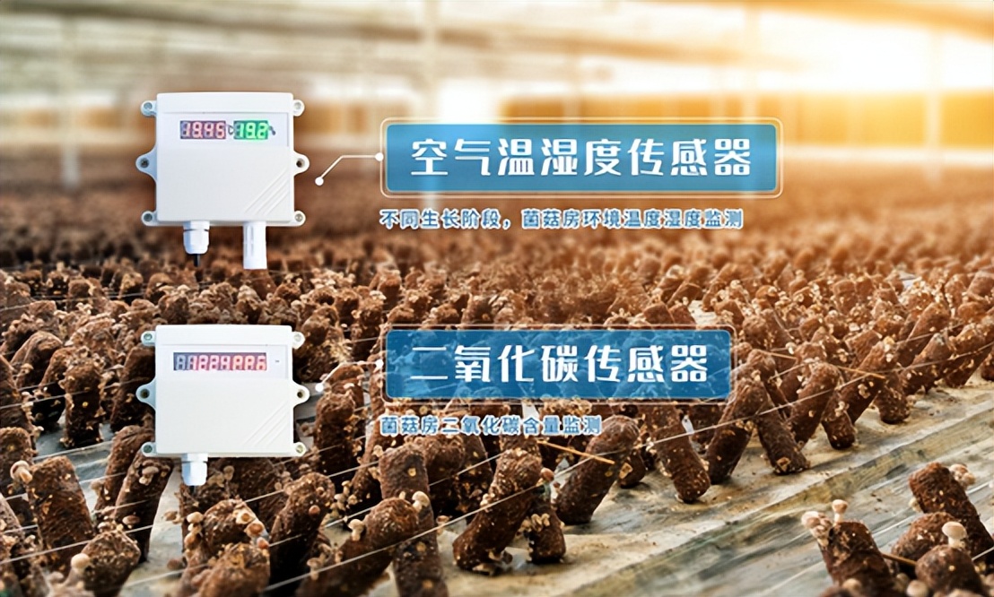 智能管理 智能管理