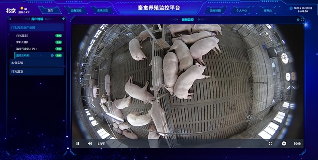 視頻監控 視頻監控