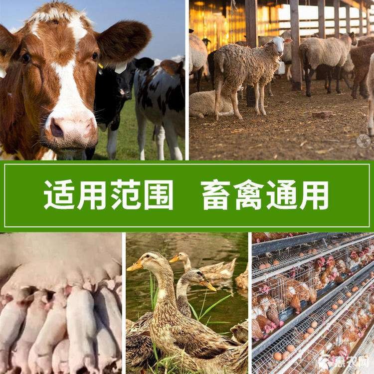 應用場景 應用場景