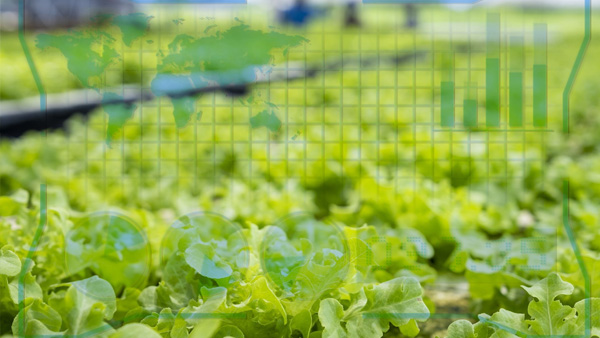 生成式人工智能在農業中的應用