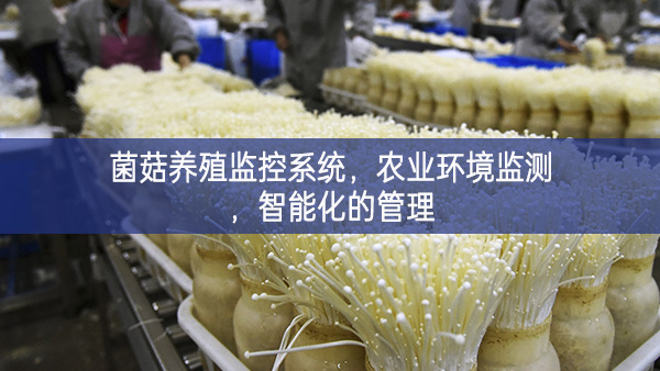 菌菇養(yǎng)殖監(jiān)控系統(tǒng),農(nóng)業(yè)環(huán)境監(jiān)測,智能化的管理 菌菇養(yǎng)殖監(jiān)控系統(tǒng),農(nóng)業(yè)環(huán)境監(jiān)測,智能化的管理