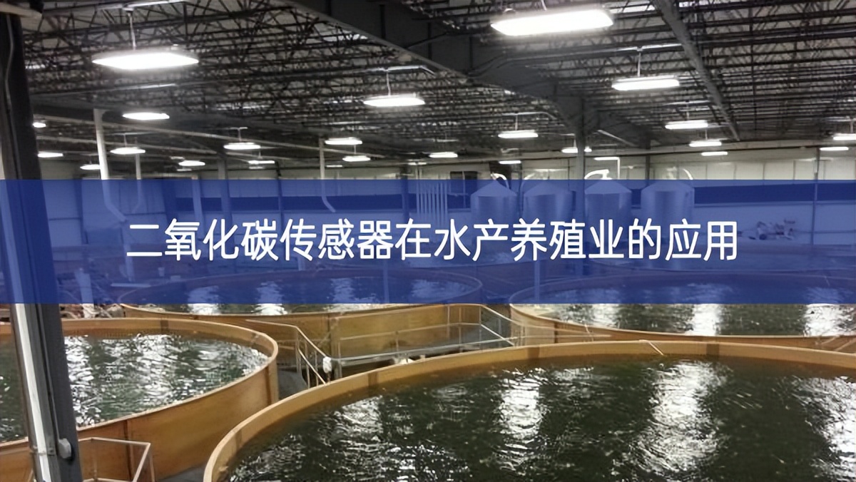 二氧化碳傳感器在水產養殖業的應用 二氧化碳傳感器在水產養殖業的應用