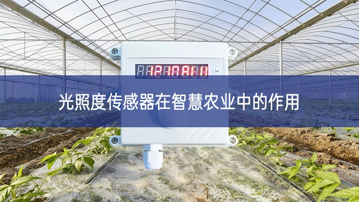 光照度傳感器在智慧農(nóng)業(yè)中的作用 光照度傳感器在智慧農(nóng)業(yè)中的作用