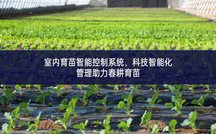 室內育苗智能控制系統，科技智能化管理助力春耕育苗