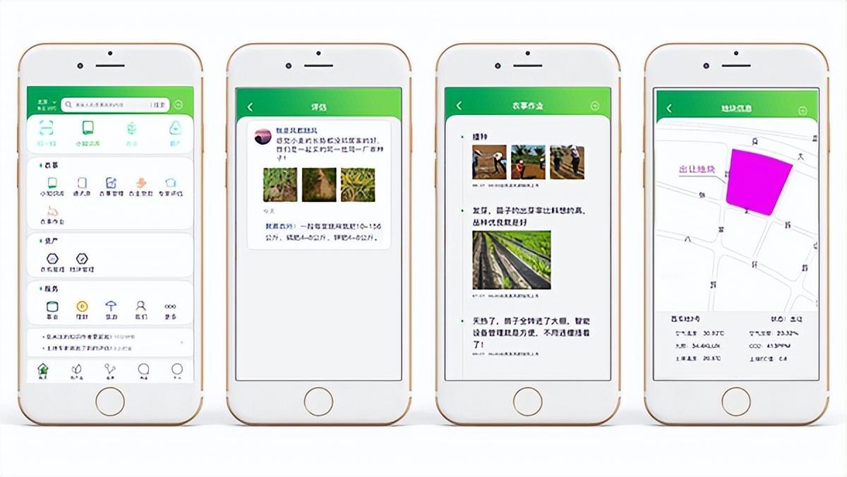 手機端界面 手機端界面