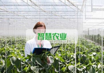 春雷一聲 驚蟄到，聚英智慧農(nóng)業(yè)系統(tǒng)助力農(nóng)業(yè)春耕