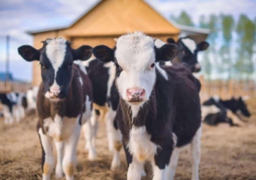 北京啟用畜牧業用水遠程在線監測系統