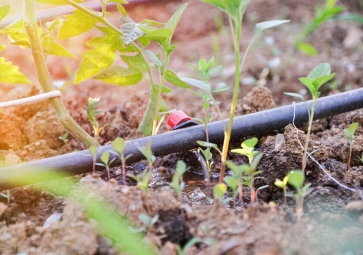 節水灌溉系統解決方案，用農業物聯網技術，科學灌溉