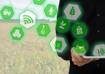 機器學習如何使農業更具可持續性