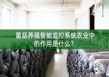 「智慧養(yǎng)殖」菌菇養(yǎng)殖智能監(jiān)控系統(tǒng)在農業(yè)中的作用是什么？