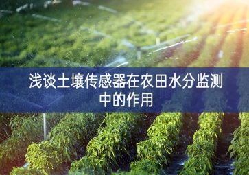 淺談土壤傳感器在農田水分監測中的作用