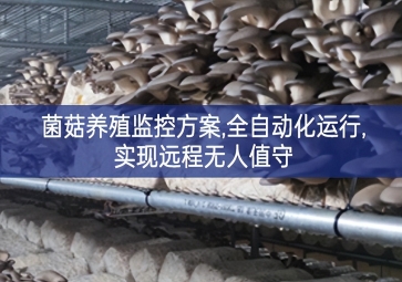 「智慧養殖」菌菇養殖監控方案,全自動化運行,實現遠程無人值守