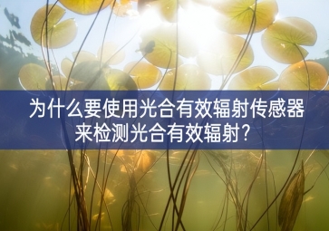 為什么要使用光合有效輻射傳感器來檢測(cè)光合有效輻射？