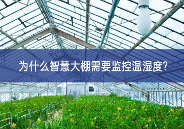 為什么智慧大棚需要監控溫濕度?