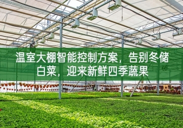 「智慧農業」溫室大棚智能控制方案，告別冬儲白菜，迎來新鮮四季蔬果