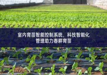 室內育苗智能控制系統，科技智能化管理助力春耕育苗