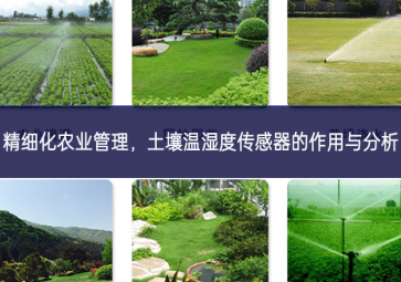精細化農業管理，土壤溫濕度傳感器的作用與分析