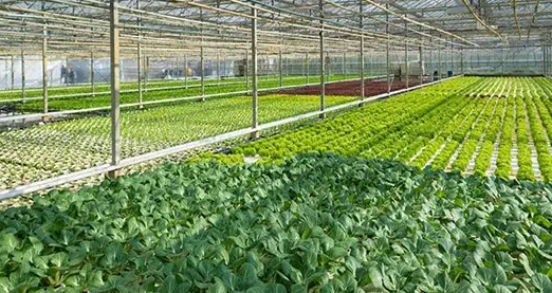 應用產業信息化、智能化下的溫室大棚控制系統.png 應用產業信息化、智能化下的溫室大棚控制系統.png